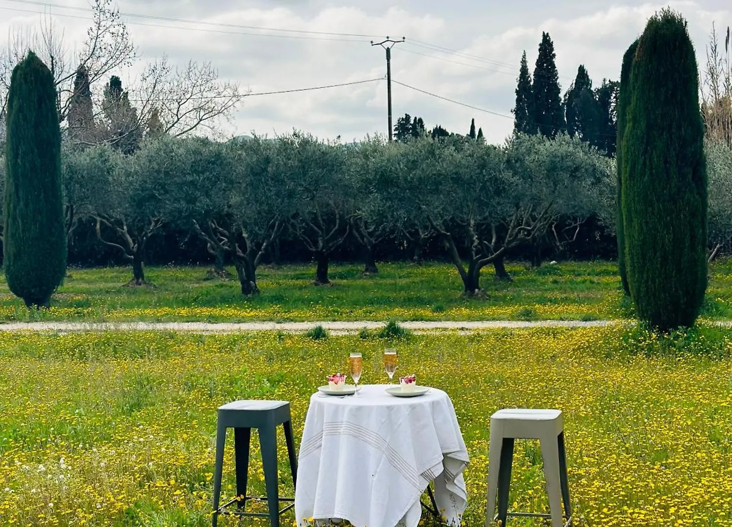 Villa De La Roque Eygalières